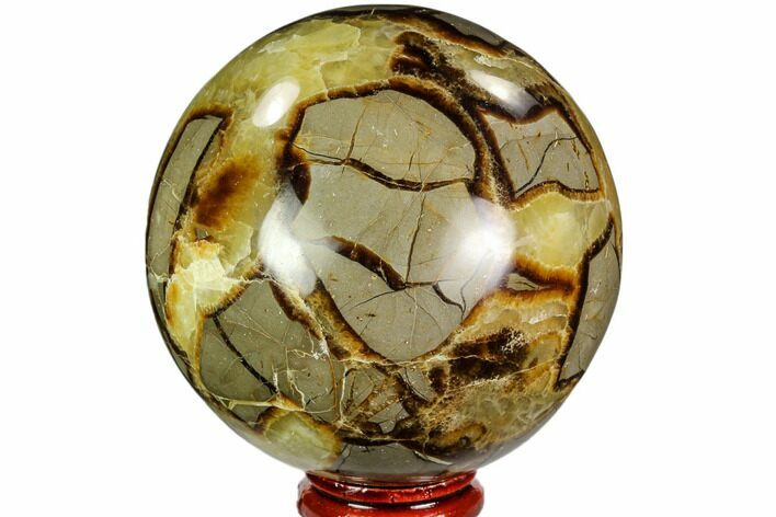 Polished Septarian Sphere - Madagascar #110671